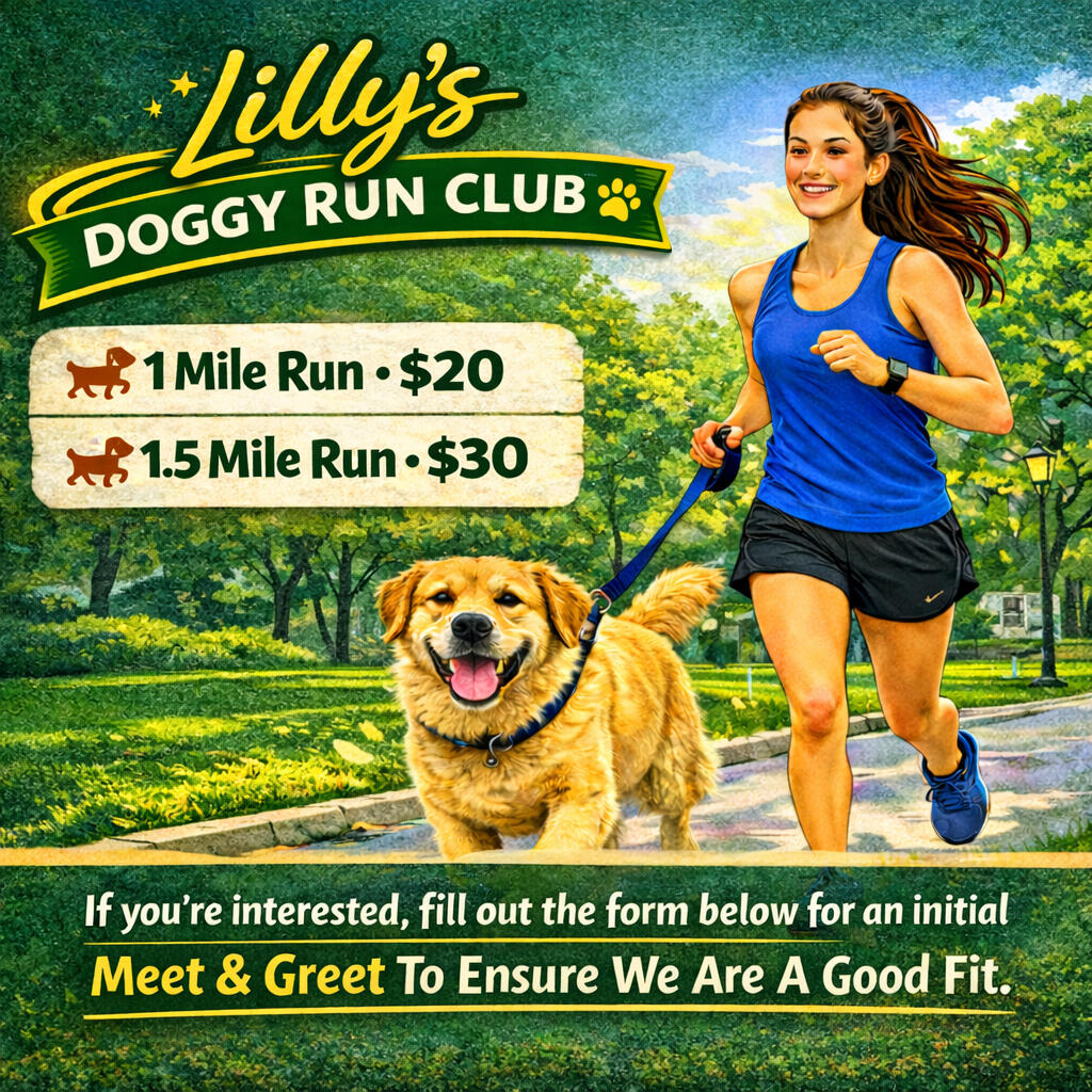 Lilly's Doggy Run Club